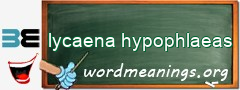 WordMeaning blackboard for lycaena hypophlaeas